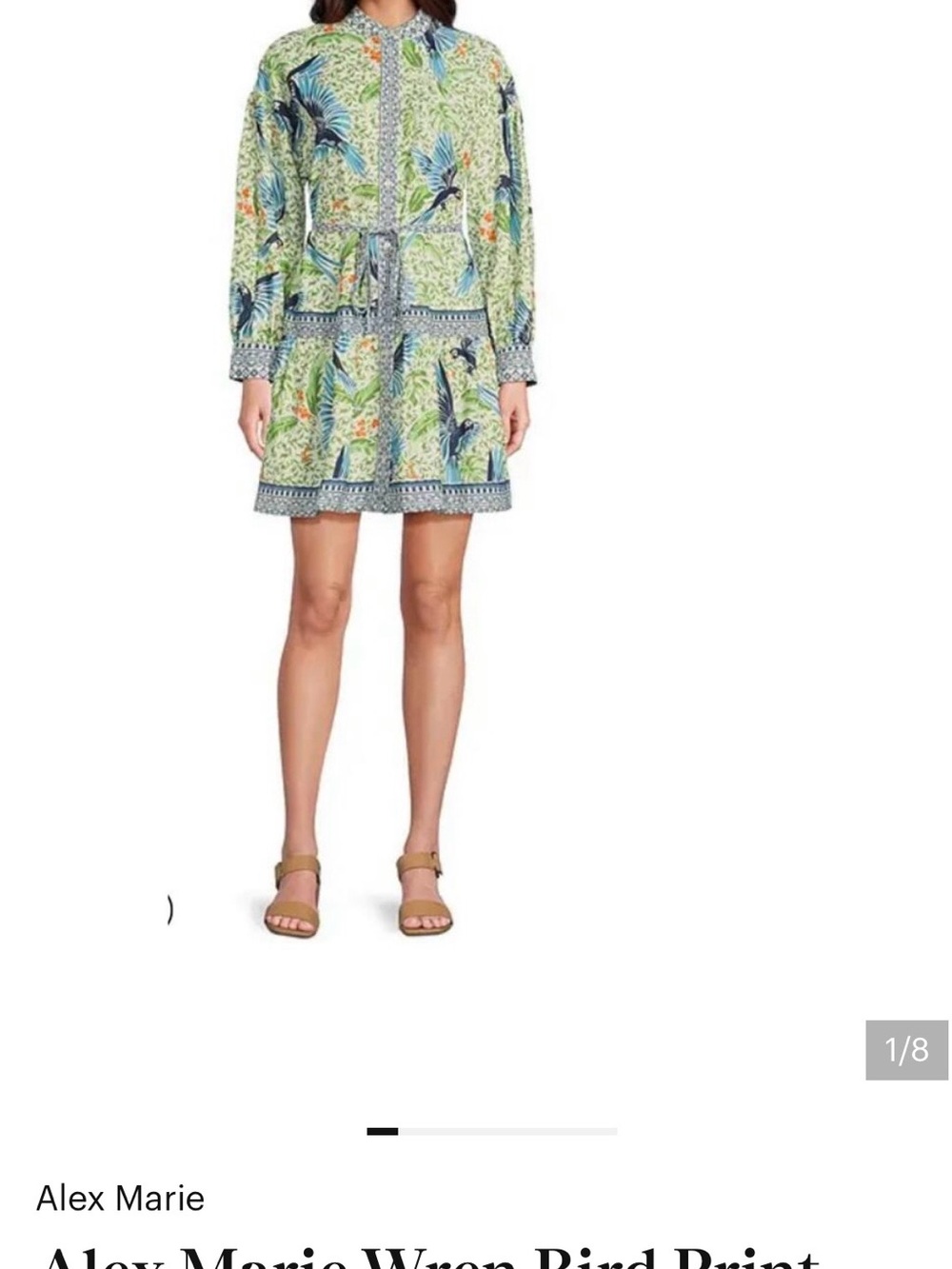 Alex Marie Blue and Green Tropical Bird Wren Print Tunic Dress size 12 - Picture 2 of 6